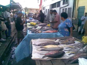 Suva Fish Market