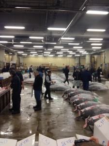 Japan fish market